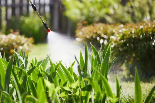 24/7 Emergency Mosquito Control experts in Oakland, IA